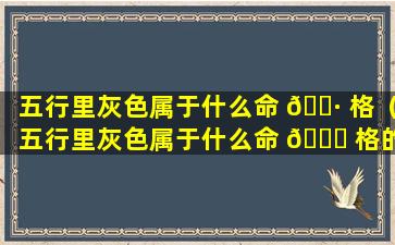 五行里灰色属于什么命 🌷 格（五行里灰色属于什么命 🐅 格的人）